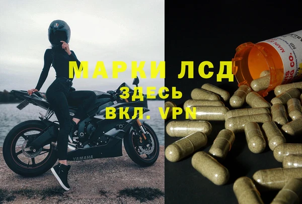 твердый Михайловск