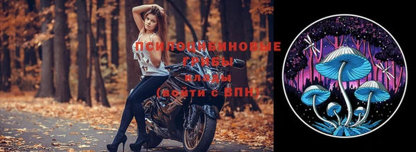 бошки Ачинск