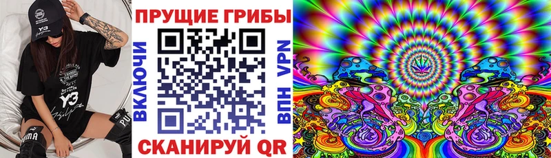 Псилоцибиновые грибы ЛСД Троицк